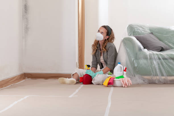 Reliable Mold Inspection And Testing contractor in Kirkland, IL by Mold Remediation HQ